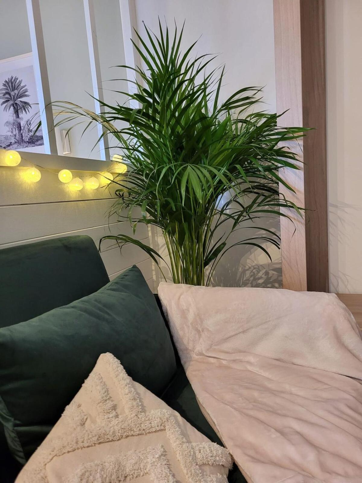 Appartement Very In Lambert Center Mulhouse